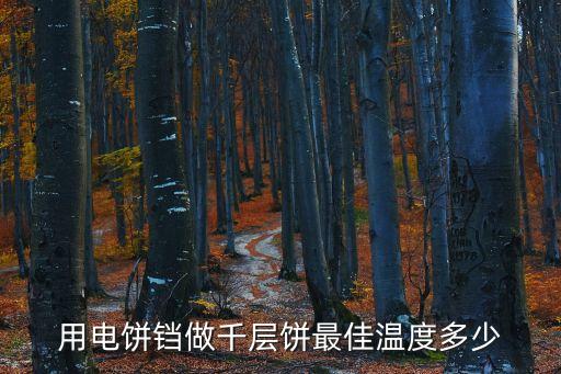 用電餅鐺做千層餅最佳溫度多少