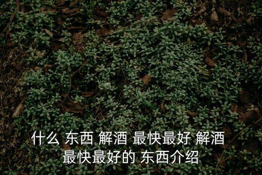 什么東西解酒最快,醉酒怎么辦?別慌!