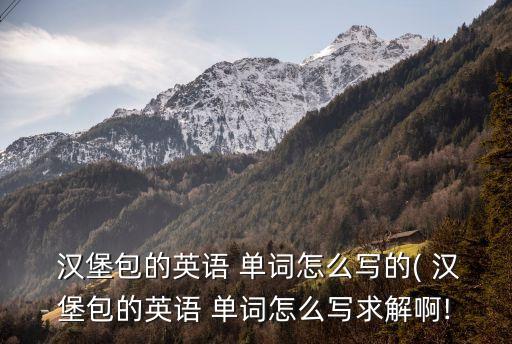  漢堡包的英語 單詞怎么寫的( 漢堡包的英語 單詞怎么寫求解啊!