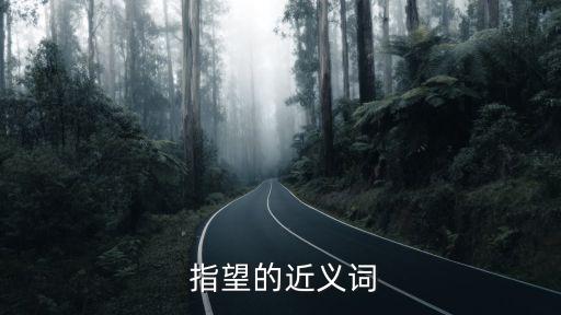 指望造句,湯姆:我只要你還有錢不要指望他會對你好
