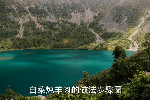羊肉白菜，白菜燉羊肉的做法步驟圖