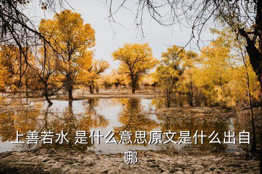 上善若水，上善若水怎么解釋
