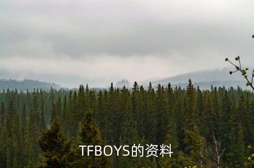 TFBOYS的資料