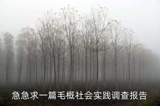 急急求一篇毛概社會實踐調查報告