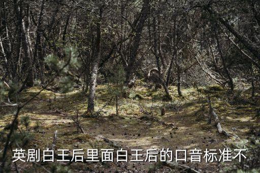 白王后，白王后 更新時間