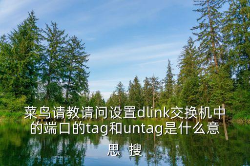 菜鳥請教請問設置dlink交換機中的端口的tag和untag是什么意思  搜
