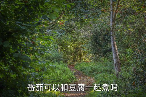 番茄可以和豆腐一起煮嗎