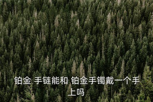  鉑金 手鏈能和 鉑金手鐲戴一個(gè)手上嗎