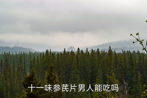 十一味參芪片男人能吃嗎