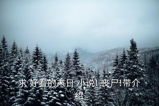 求 好看的末日 小說! 喪尸!帶介紹