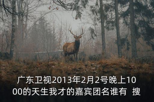 廣東衛(wèi)視2013年2月2號晚上1000的天生我才的嘉賓團名誰有  搜