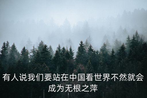 有人說我們要站在中國看世界不然就會成為無根之萍