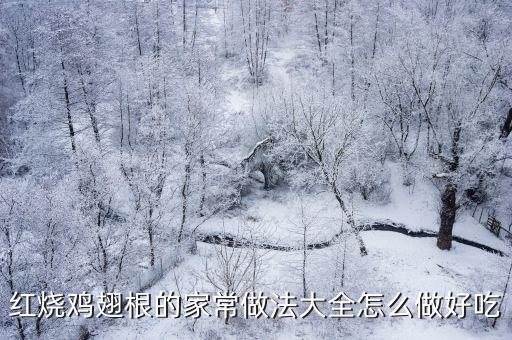 紅燒雞翅根的家常做法大全怎么做好吃