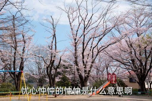  憂心忡忡的忡忡是什么意思啊