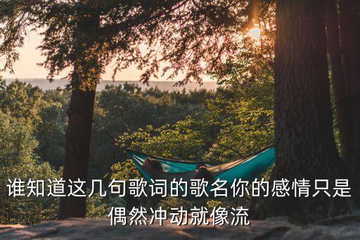誰知道這幾句歌詞的歌名你的感情只是偶然沖動就像流