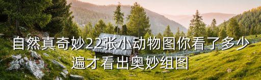 自然真奇妙22張小動(dòng)物圖你看了多少遍才看出奧妙組圖