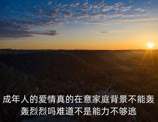 成年人的愛情，成年人的戀愛是怎么樣的
