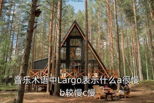 音樂術(shù)語中Largo表示什么a很慢 b較慢c慢