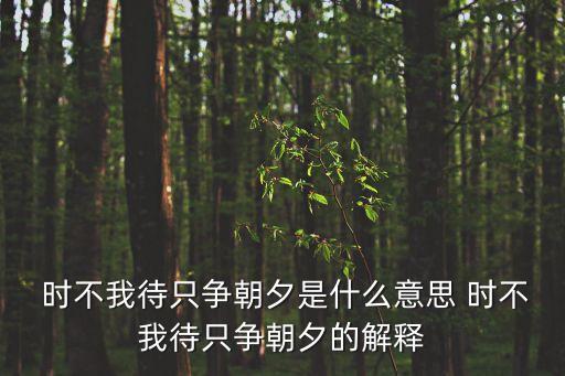  時不我待只爭朝夕是什么意思 時不我待只爭朝夕的解釋
