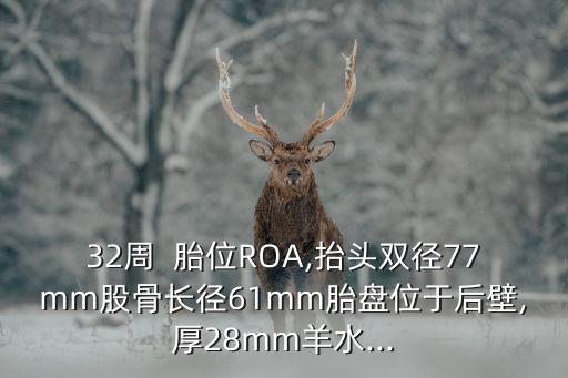 32周  胎位ROA,抬頭雙徑77mm股骨長徑61mm胎盤位于后壁,厚28mm羊水...