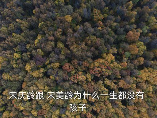 宋美齡的孩子,蔣緯國:結婚前宋美齡或得了性病不能生孩子