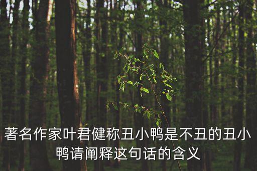 著名作家葉君健稱丑小鴨是不丑的丑小鴨請闡釋這句話的含義