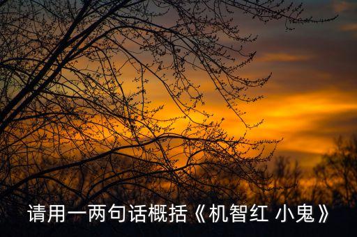 請用一兩句話概括《機智紅 小鬼》