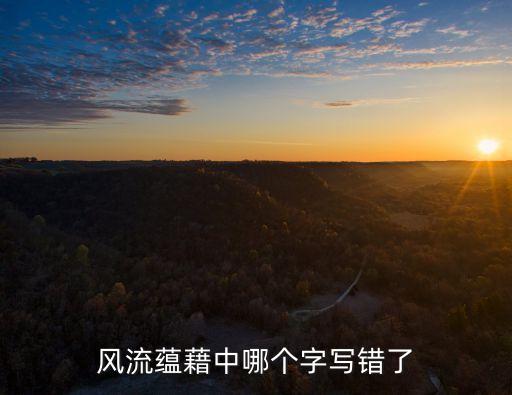 風流蘊藉中哪個字寫錯了