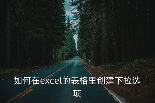 表格下拉選項，如何在excel的表格里創建下拉選項