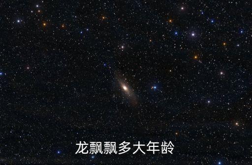 龍飄飄多大年齡