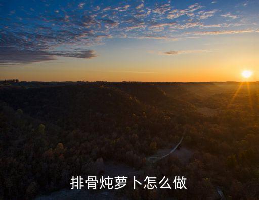排骨燉蘿卜怎么做