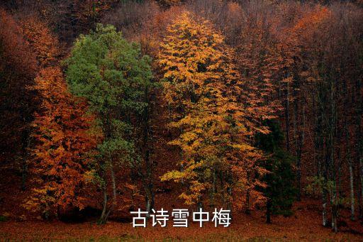 古詩雪中梅