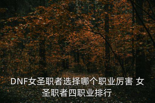 dnf女圣職者，DNF有女圣職者嗎