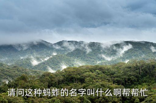 請問這種螞蚱的名字叫什么啊幫幫忙