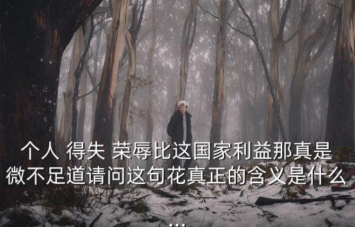 個人 得失 榮辱比這國家利益那真是微不足道請問這句花真正的含義是什么...