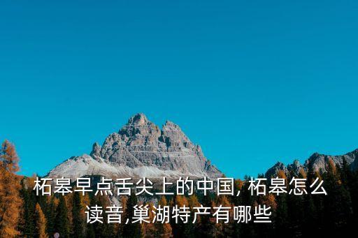  柘皋早點舌尖上的中國, 柘皋怎么讀音,巢湖特產有哪些