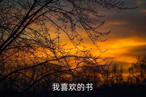 我喜歡的書