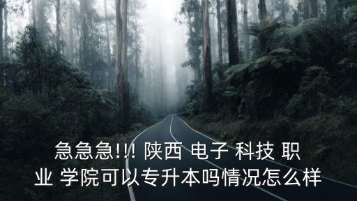 陜西電子科技職業學院