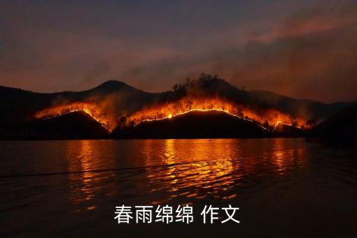 春雨綿綿 作文