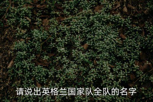 英國隊，英國足球隊為什么叫英格蘭