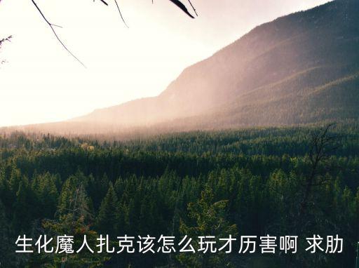 生化魔人扎克該怎么玩才歷害啊 求肋
