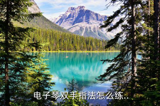 電子琴怎么彈,電子琴61鍵指法1.2.3