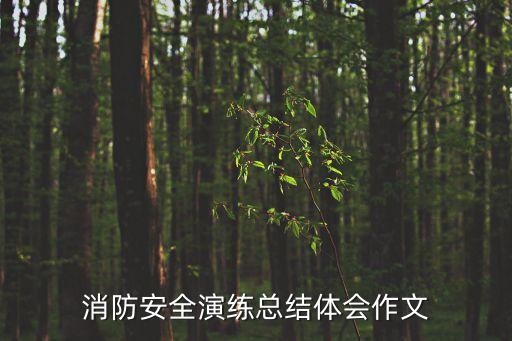 小學消防演練總結，消防安全逃生演練體會開頭150字