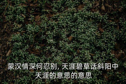 蒙漢情深何忍別, 天涯碧草話斜陽中 天涯的意思的意思