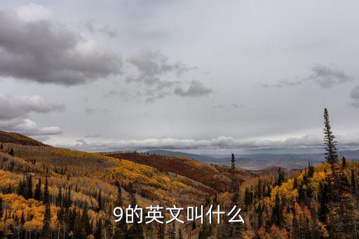 9的英文叫什么
