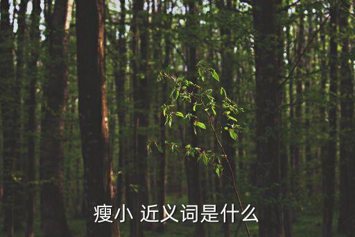 矮小的近義詞,《海浪之間》第二集:身材矮小不要失望!