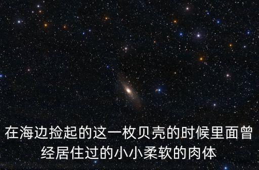 在海邊撿起的這一枚貝殼的時候里面曾經居住過的小小柔軟的肉體