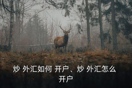 炒 外匯如何 開戶、炒 外匯怎么 開戶