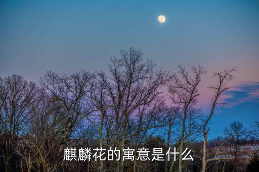 麒麟花的寓意是什么