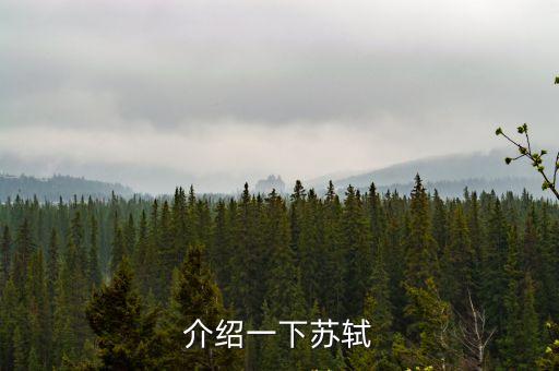 介紹一下蘇軾